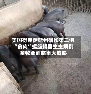 美国得克萨斯州确诊第二例“食肉”螺旋蝇寄生虫病例 畜牧业面临重大威胁-第2张图片