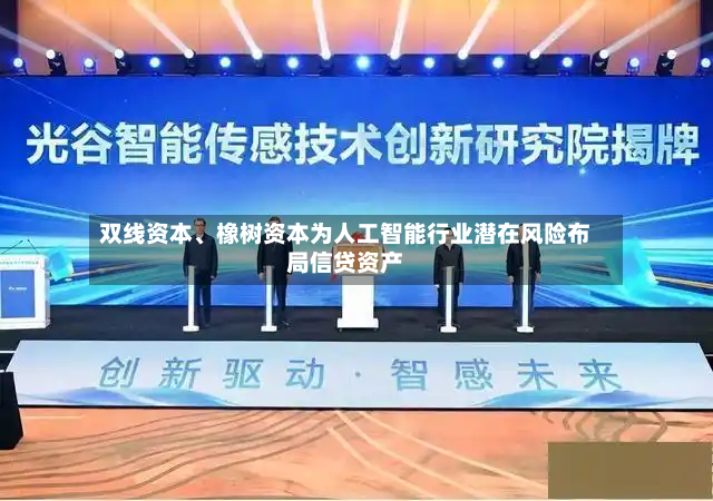 双线资本、橡树资本为人工智能行业潜在风险布局信贷资产-第2张图片