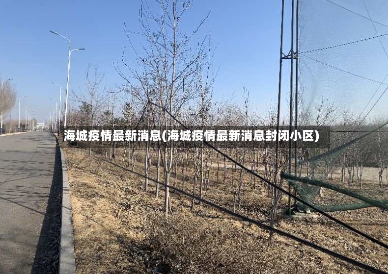 海城疫情最新消息(海城疫情最新消息封闭小区)