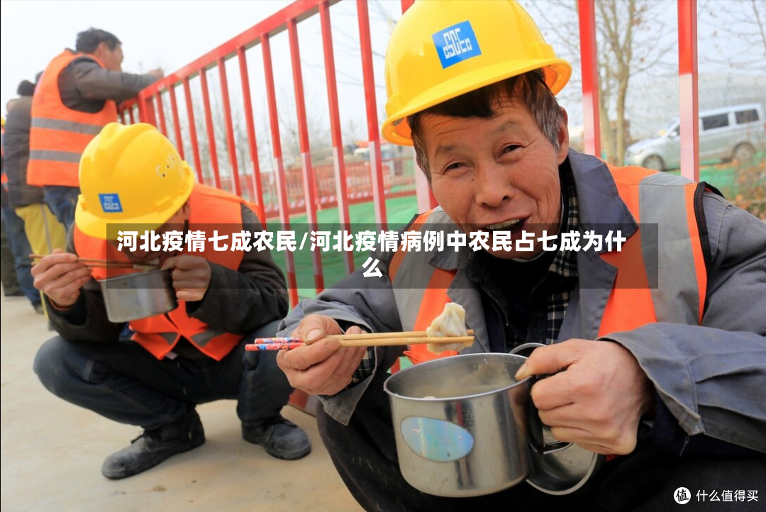 河北疫情七成农民/河北疫情病例中农民占七成为什么