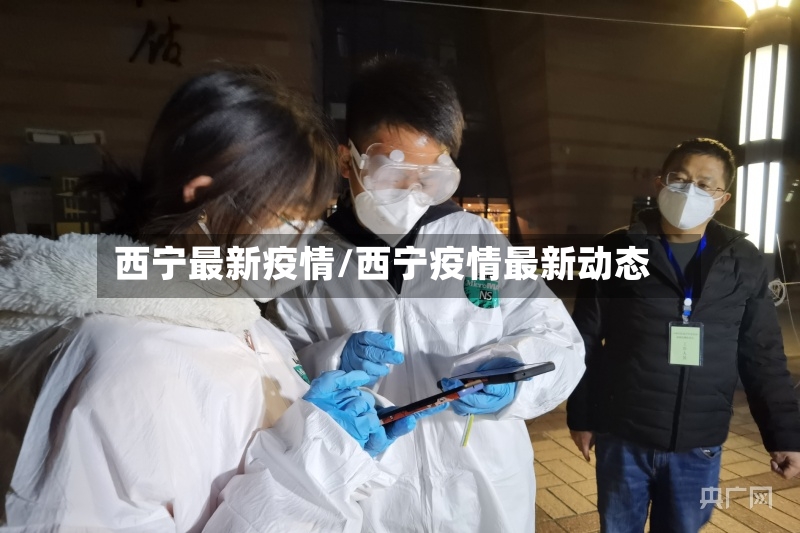 西宁最新疫情/西宁疫情最新动态-第2张图片