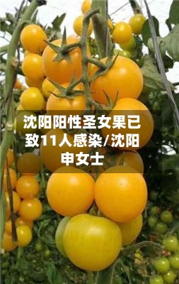沈阳阳性圣女果已致11人感染/沈阳申女士