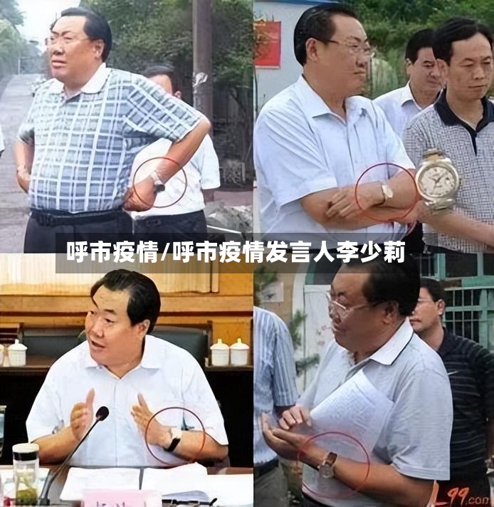 呼市疫情/呼市疫情发言人李少莉