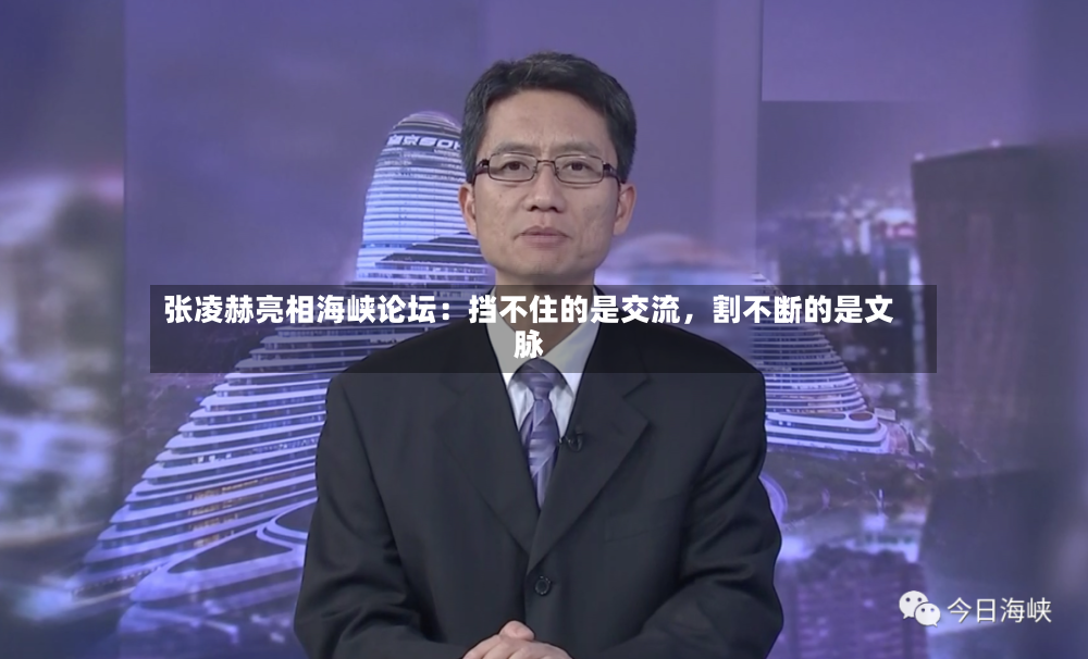 张凌赫亮相海峡论坛：挡不住的是交流	，割不断的是文脉-第2张图片