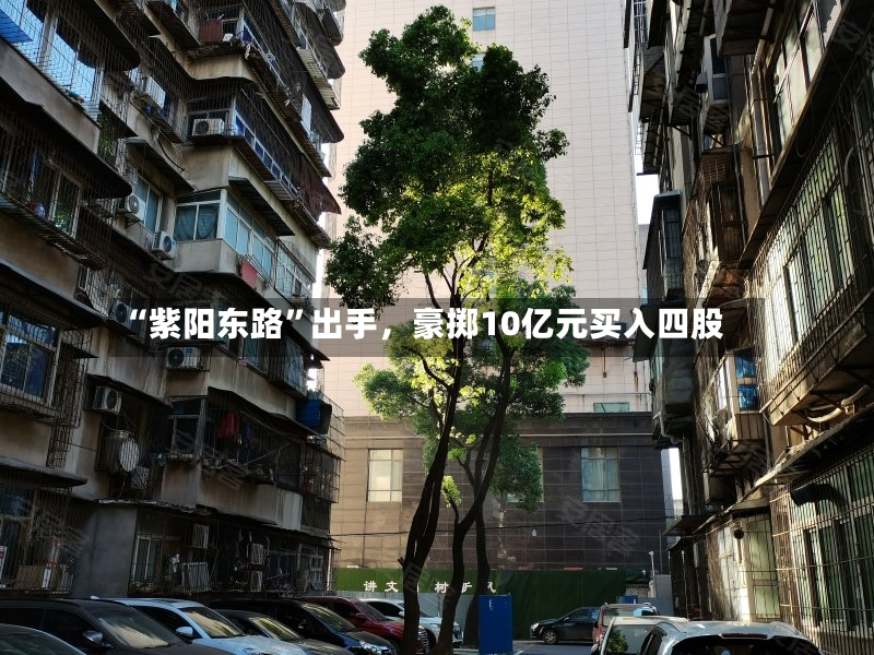 “紫阳东路	”出手	，豪掷10亿元买入四股-第3张图片