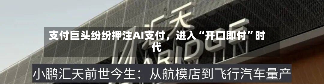 支付巨头纷纷押注AI支付，进入“开口即付”时代-第2张图片