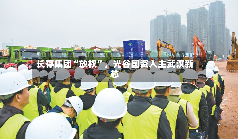 长存集团“放权”	，光谷国资入主武汉新芯-第2张图片
