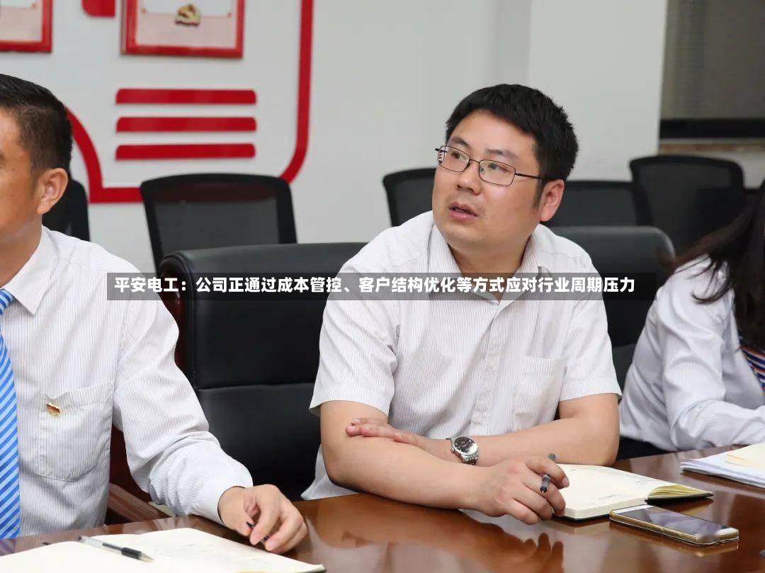 平安电工：公司正通过成本管控、客户结构优化等方式应对行业周期压力-第3张图片