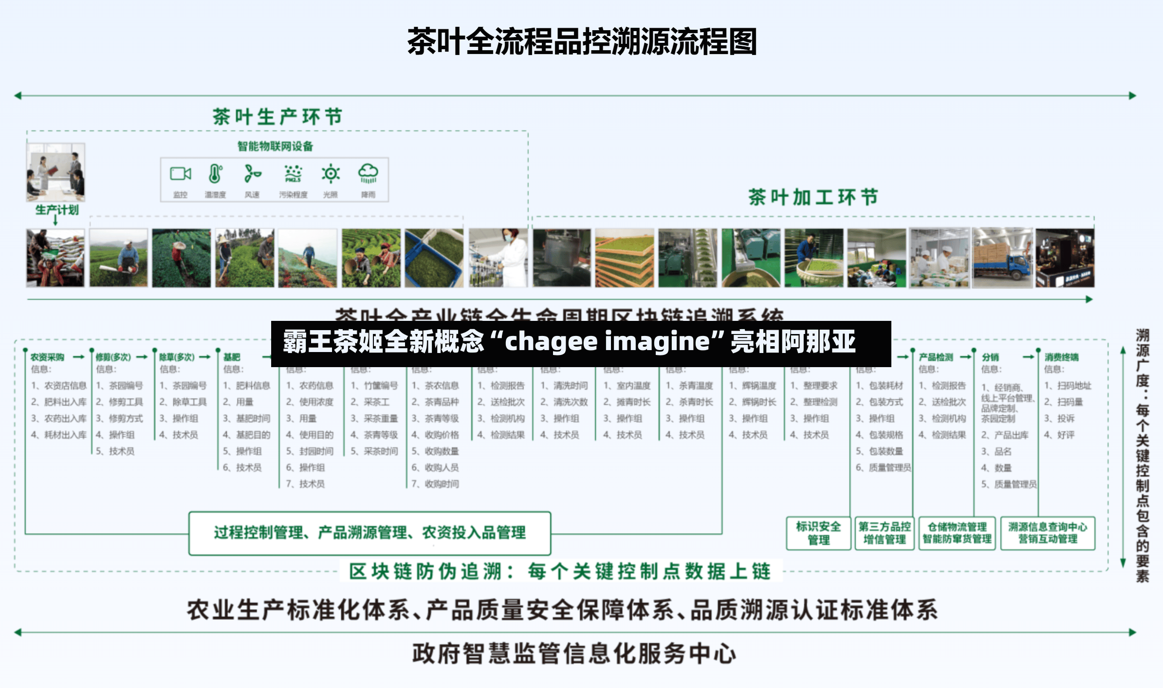 霸王茶姬全新概念“chagee imagine”亮相阿那亚-第3张图片