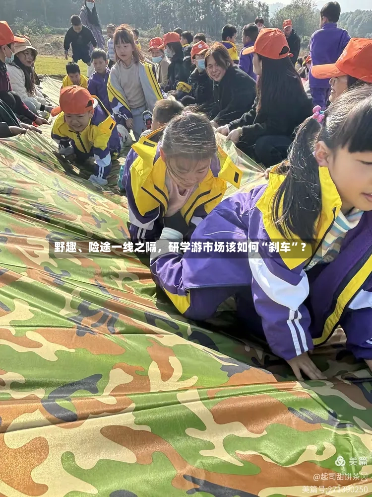 野趣	、险途一线之隔，研学游市场该如何“刹车”？-第3张图片