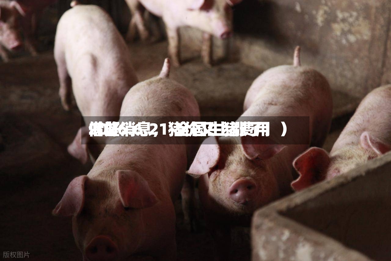 2026.6.21-全国生猪费用借鉴（好消息，猪价又上涨了！）-第2张图片