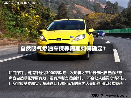 自然吸气燃油车保养周期如何确定?-第2张图片