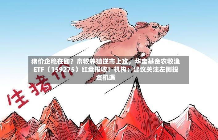 猪价企稳在即？畜牧养殖逆市上攻	，华宝基金农牧渔ETF（159275）红盘报收！机构：建议关注左侧投资机遇-第2张图片