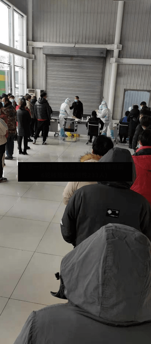 南京一核酸阳性人员不知去向?(南京前6轮核酸检出阳性233人)-第3张图片