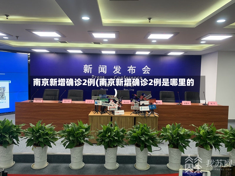 南京新增确诊2例(南京新增确诊2例是哪里的)-第3张图片