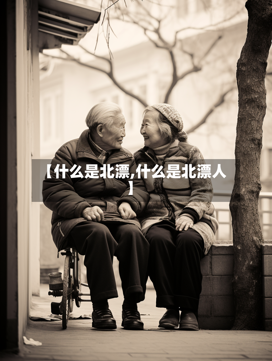 【什么是北漂,什么是北漂人】-第2张图片