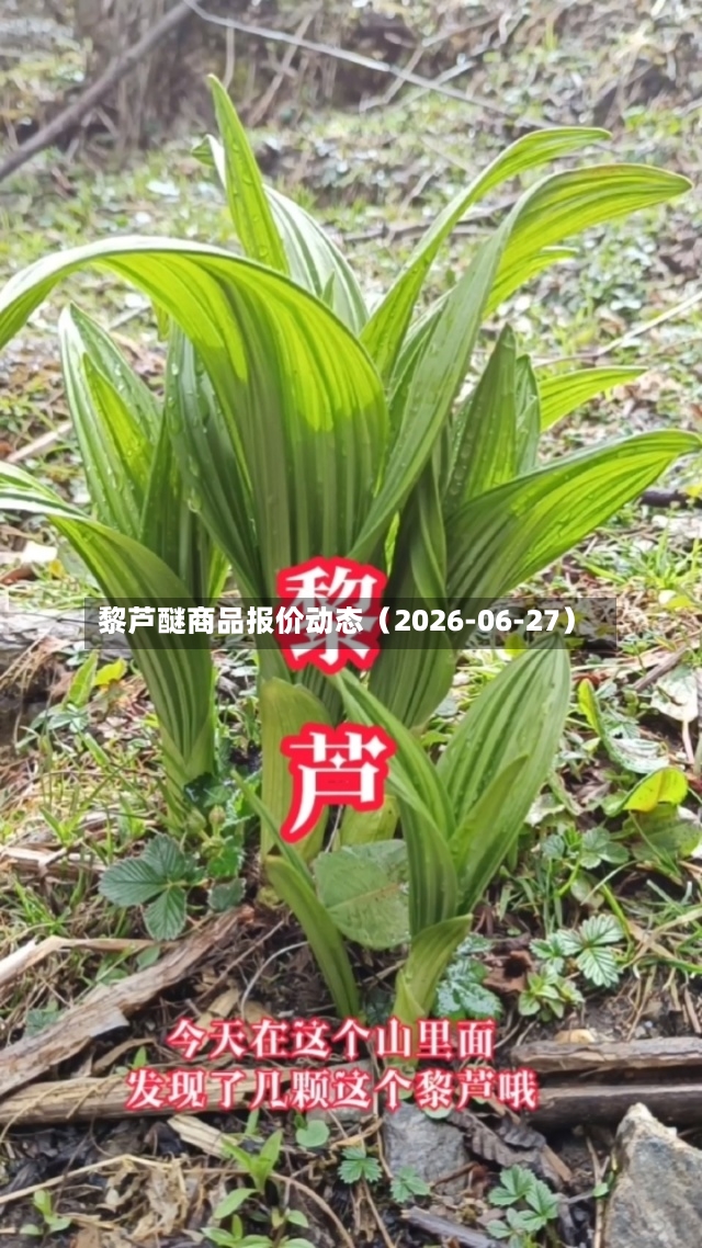 黎芦醚商品报价动态（2026-06-27）