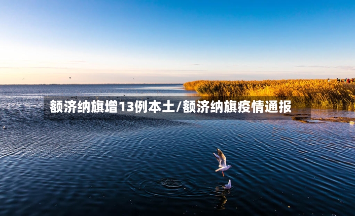 额济纳旗增13例本土/额济纳旗疫情通报