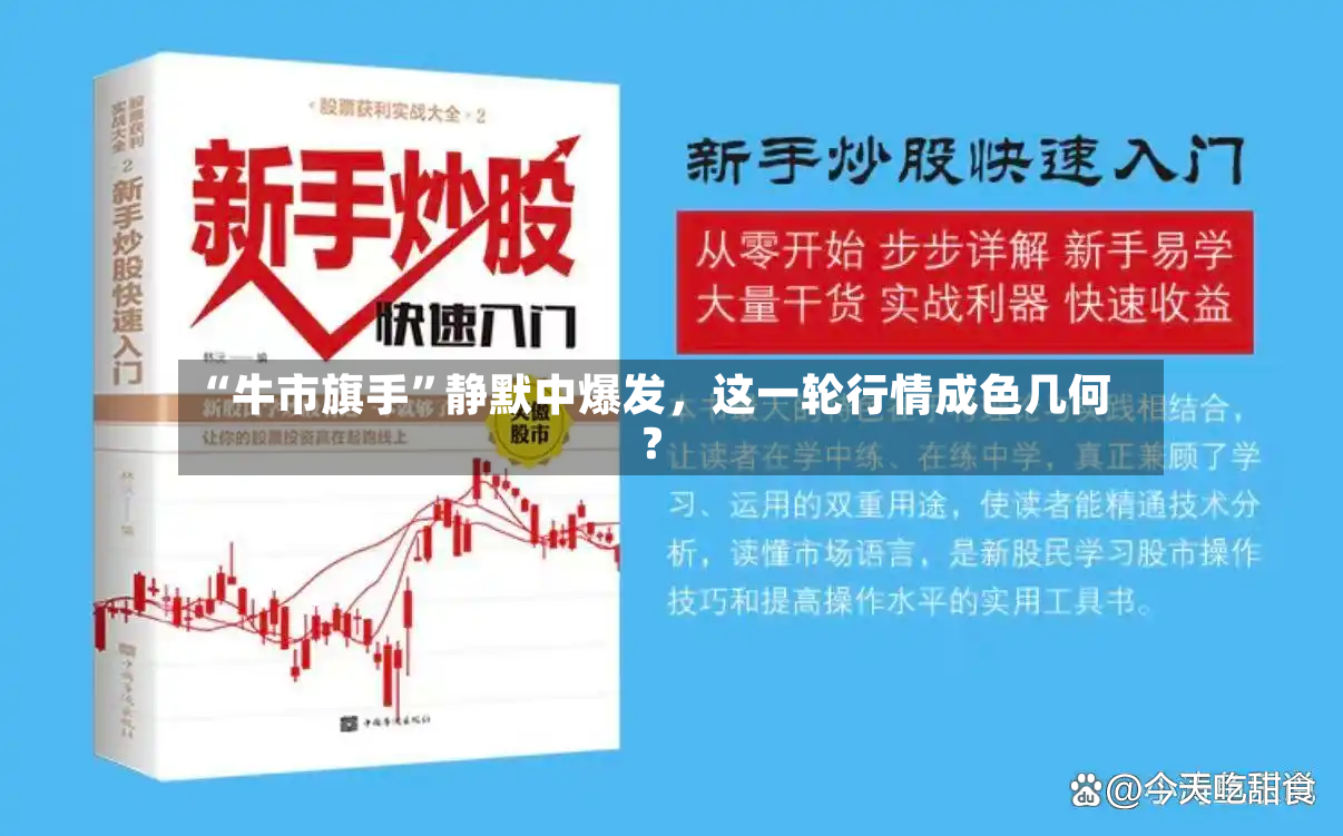 “牛市旗手”静默中爆发，这一轮行情成色几何？
