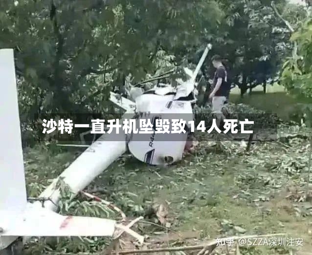 沙特一直升机坠毁致14人死亡