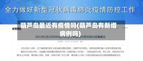 葫芦岛最近有疫情吗(葫芦岛有新增病例吗)-第2张图片