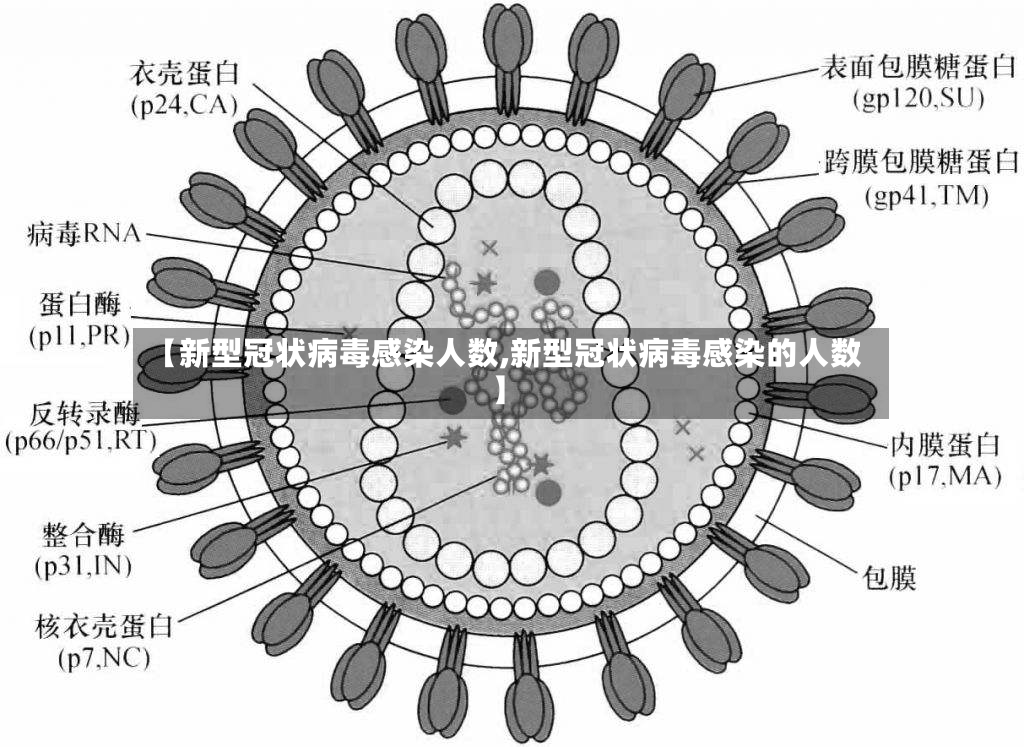 【新型冠状病毒感染人数,新型冠状病毒感染的人数】-第2张图片