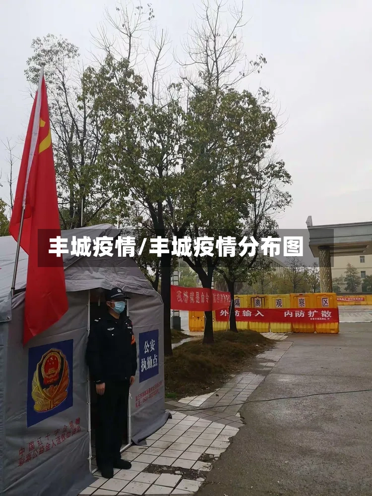 丰城疫情/丰城疫情分布图
