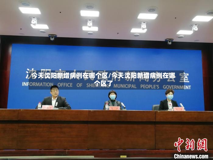 今天沈阳新增病例在哪个区/今天沈阳新增病例在哪个区了