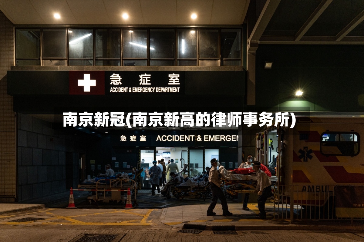 南京新冠(南京新高的律师事务所)