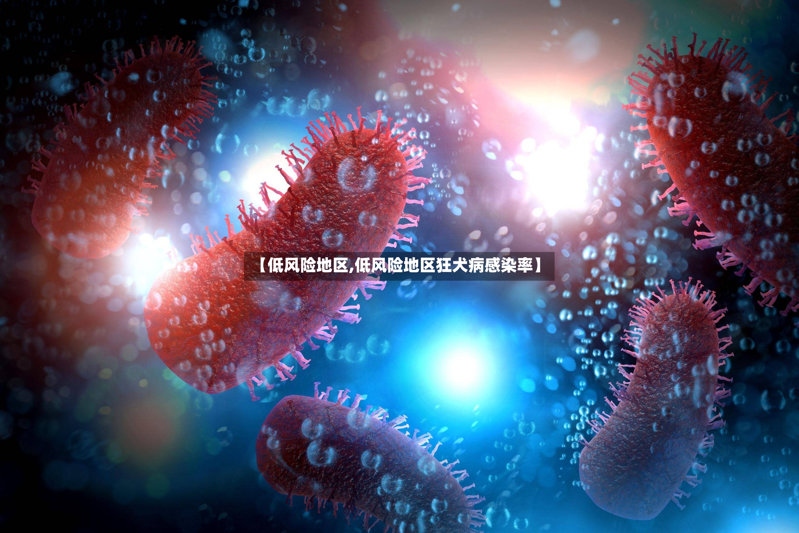【低风险地区,低风险地区狂犬病感染率】-第3张图片