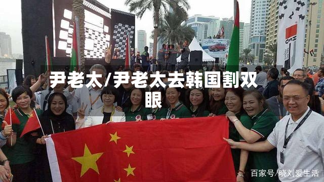 尹老太/尹老太去韩国割双眼-第2张图片