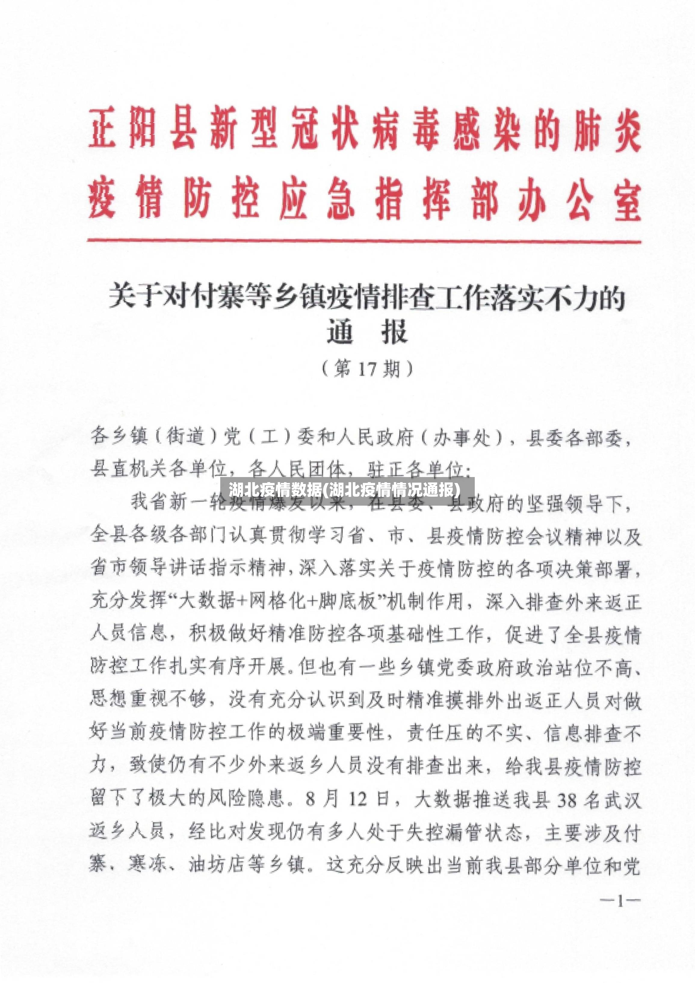 湖北疫情数据(湖北疫情情况通报)-第2张图片