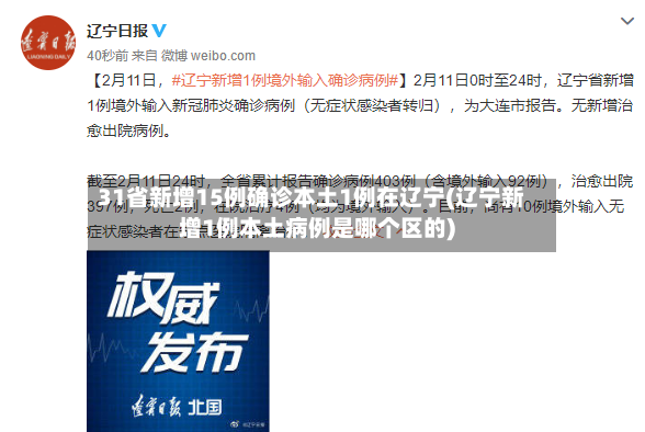 31省新增15例确诊本土1例在辽宁(辽宁新增1例本土病例是哪个区的)-第2张图片