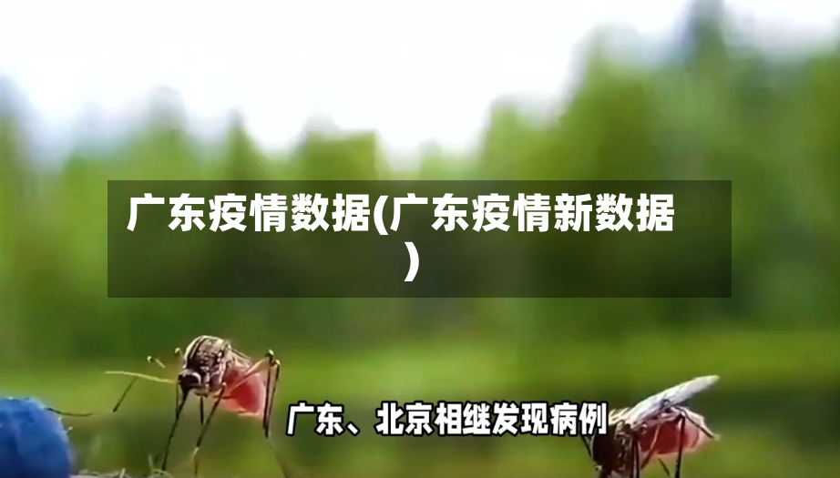 广东疫情数据(广东疫情新数据)-第3张图片