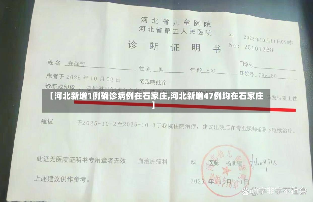 【河北新增1例确诊病例在石家庄,河北新增47例均在石家庄】-第3张图片