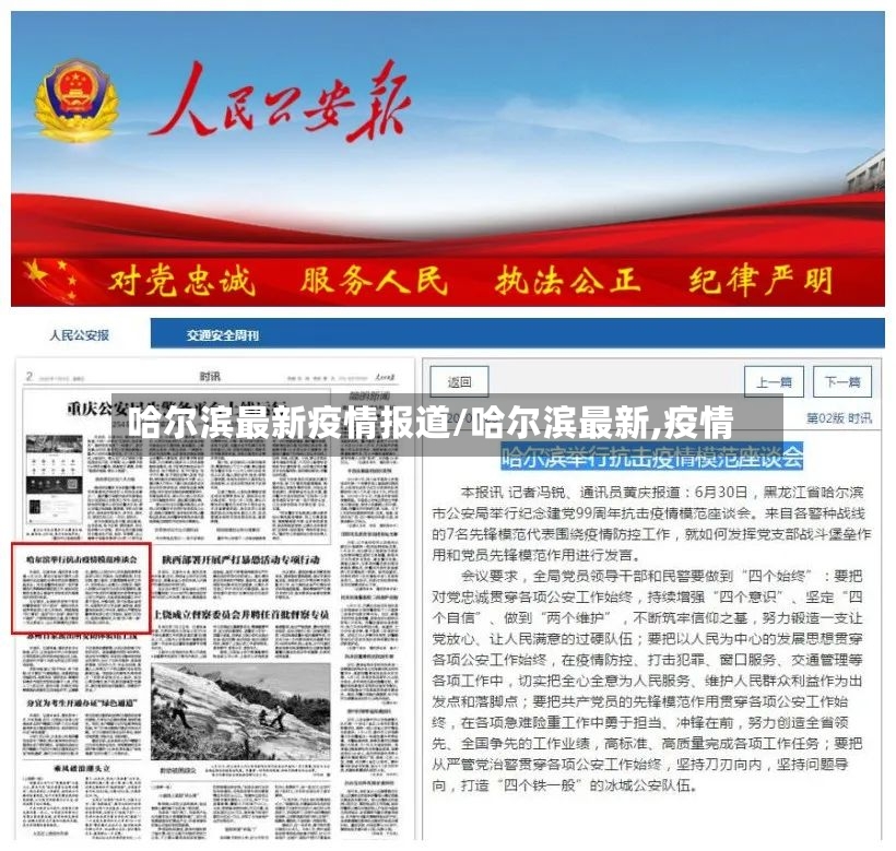 哈尔滨最新疫情报道/哈尔滨最新,疫情