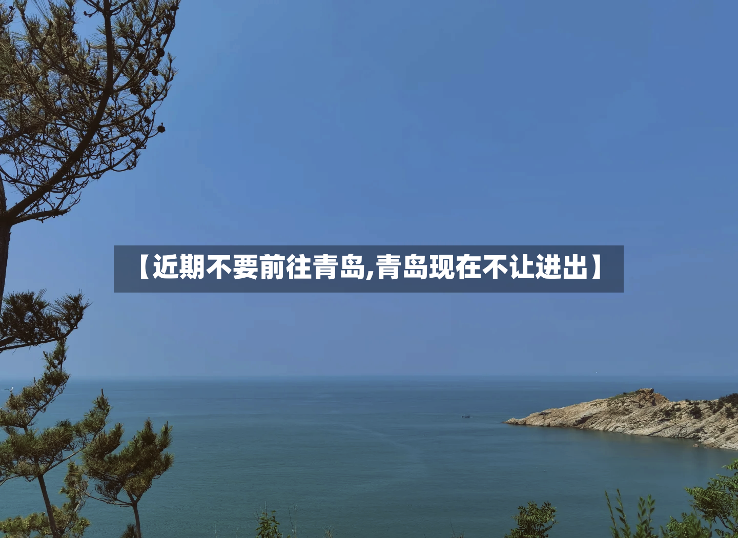 【近期不要前往青岛,青岛现在不让进出】