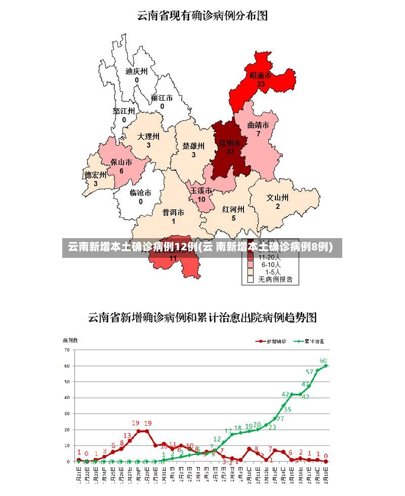 云南新增本土确诊病例12例(云 南新增本土确诊病例8例)-第3张图片