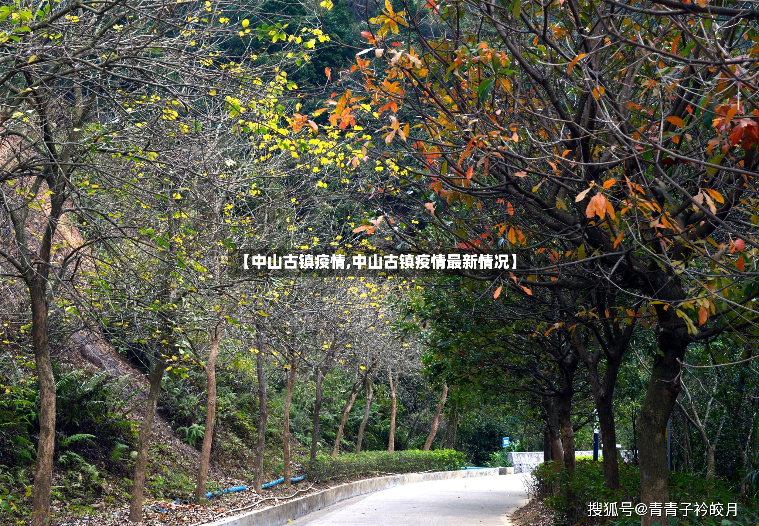 【中山古镇疫情,中山古镇疫情最新情况】