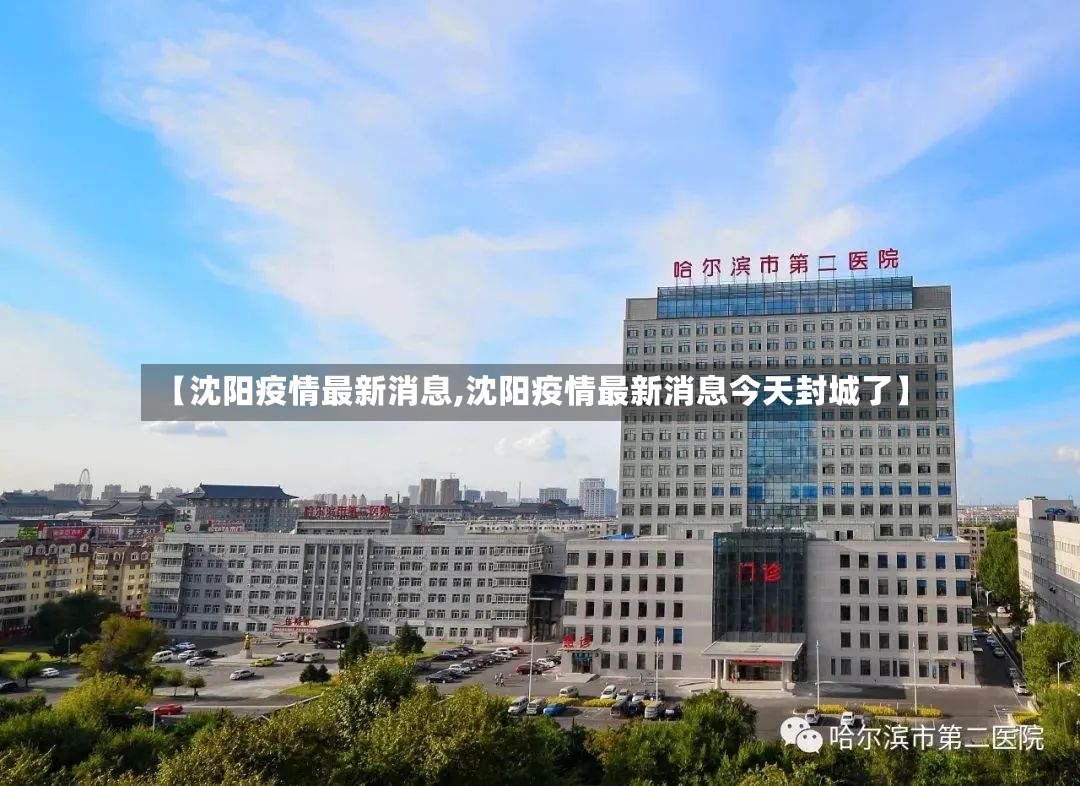 【沈阳疫情最新消息,沈阳疫情最新消息今天封城了】-第2张图片