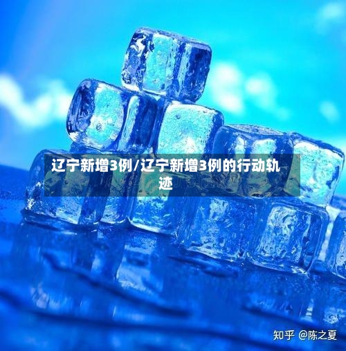 辽宁新增3例/辽宁新增3例的行动轨迹-第2张图片
