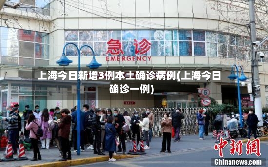 上海今日新增3例本土确诊病例(上海今日确诊一例)-第2张图片