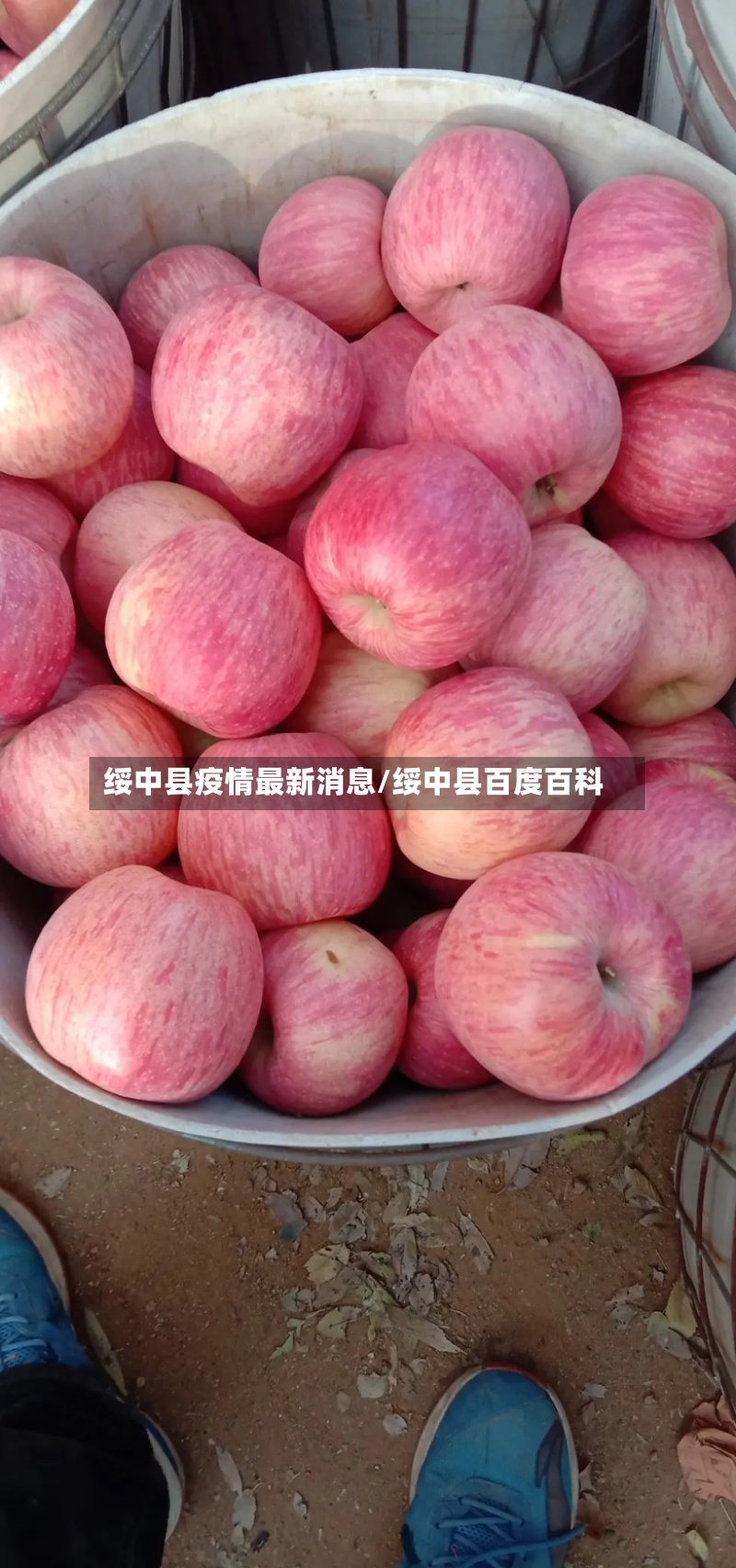 绥中县疫情最新消息/绥中县百度百科