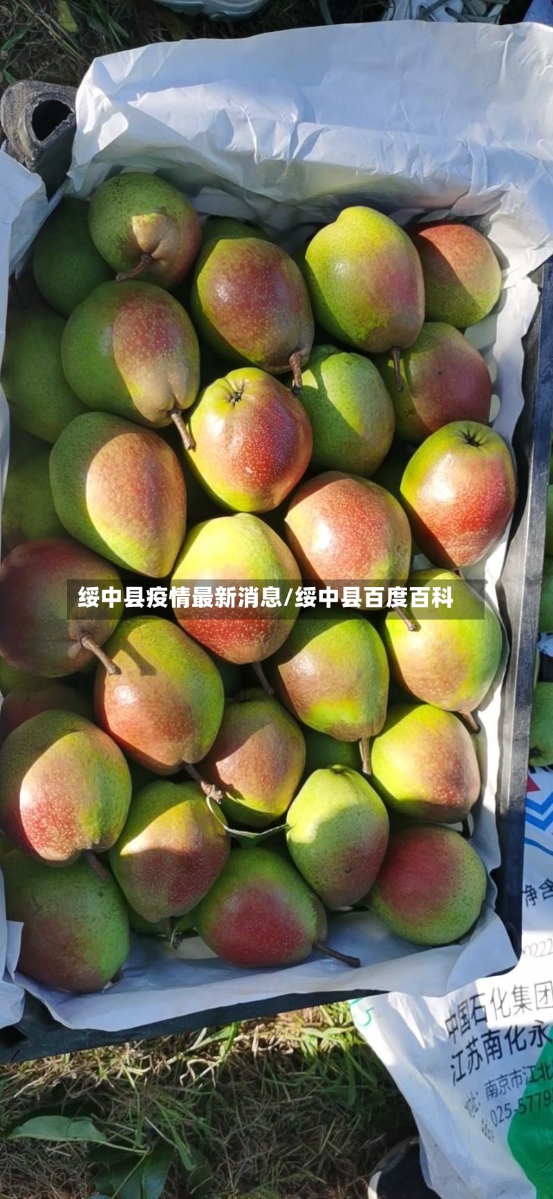 绥中县疫情最新消息/绥中县百度百科-第2张图片