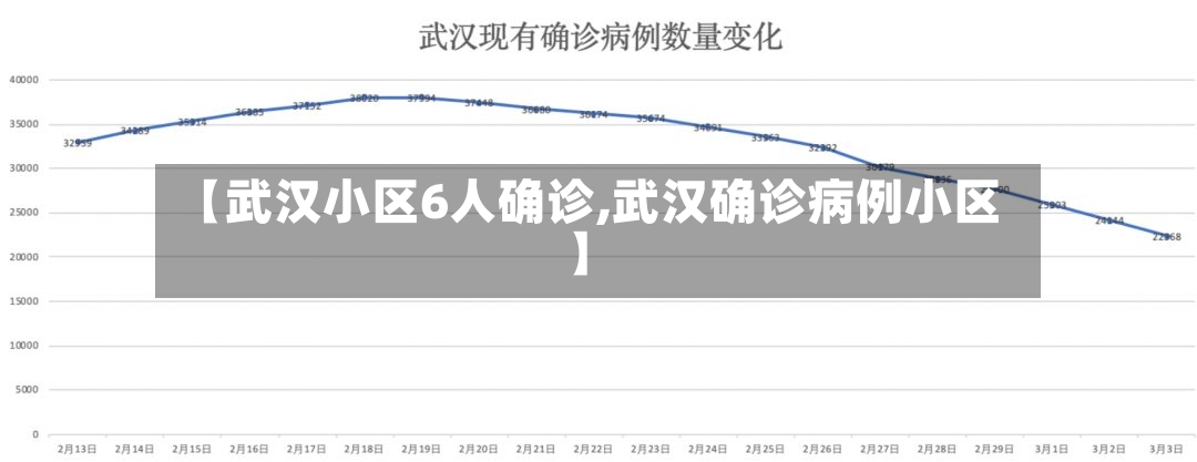 【武汉小区6人确诊,武汉确诊病例小区】