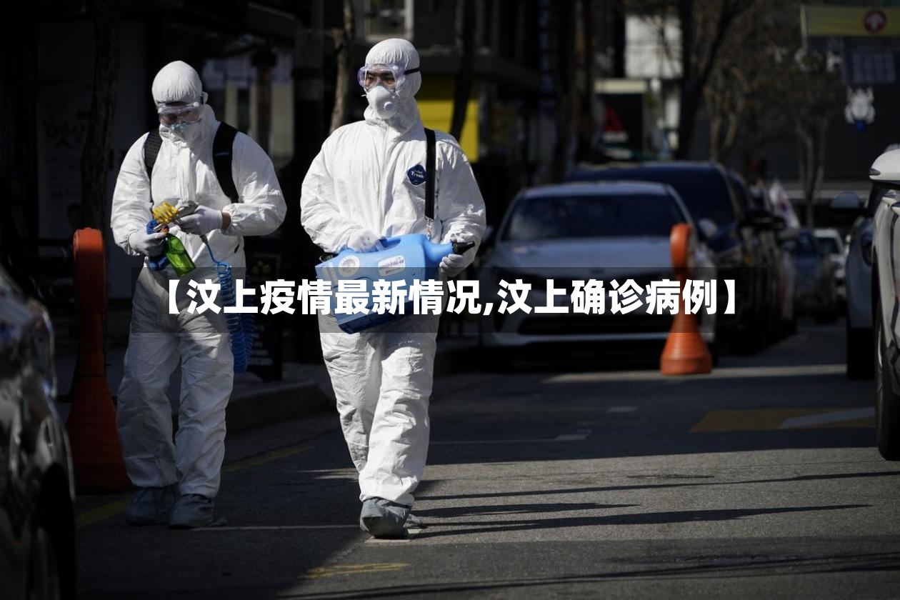 【汶上疫情最新情况,汶上确诊病例】