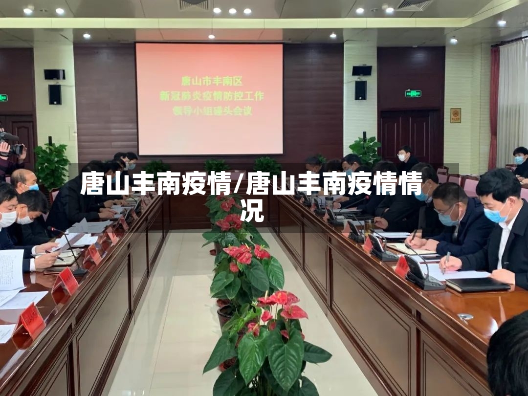 唐山丰南疫情/唐山丰南疫情情况-第2张图片