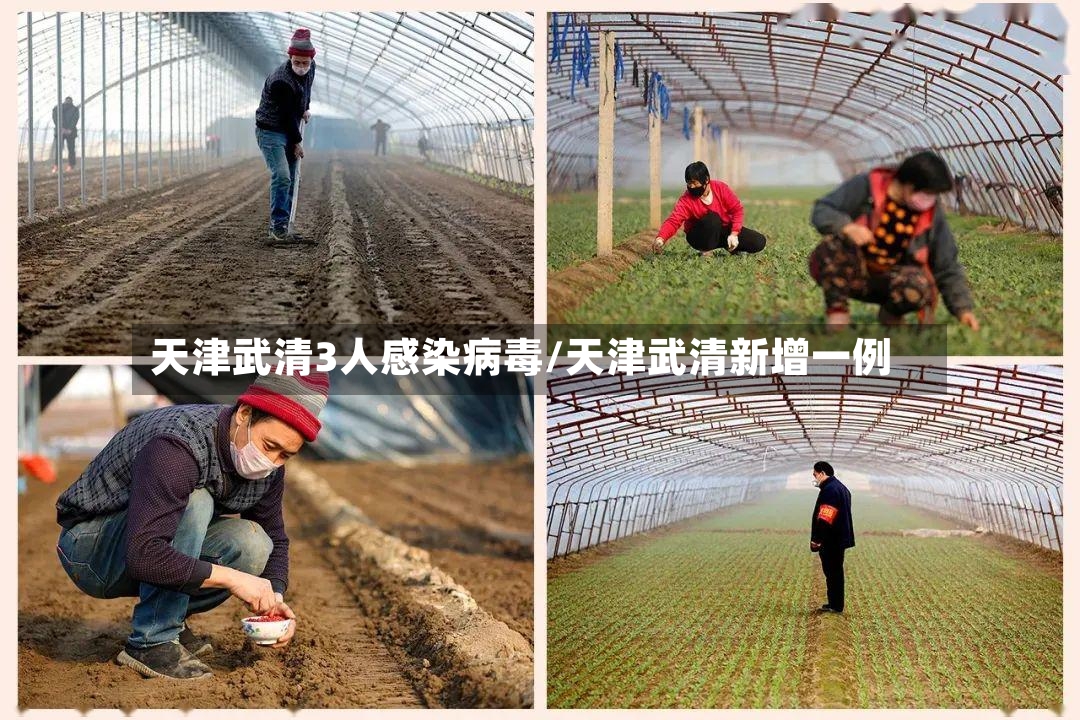 天津武清3人感染病毒/天津武清新增一例-第2张图片
