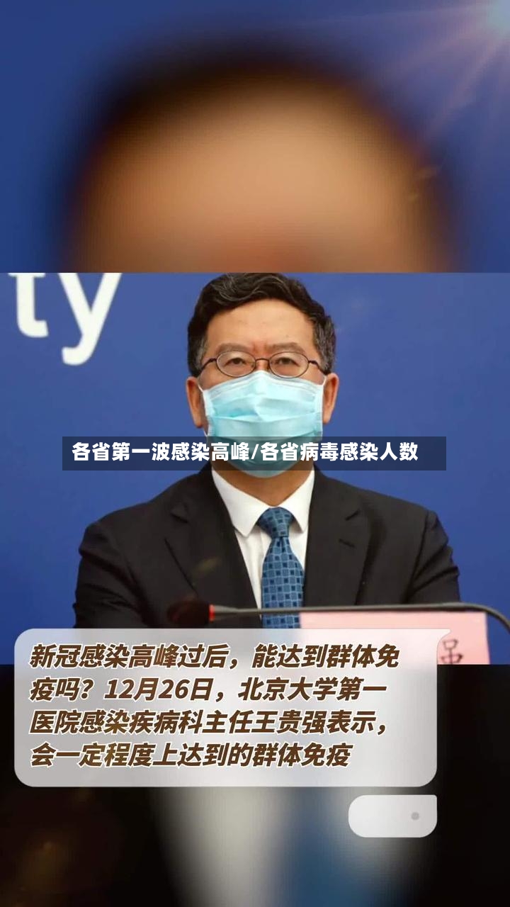 各省第一波感染高峰/各省病毒感染人数