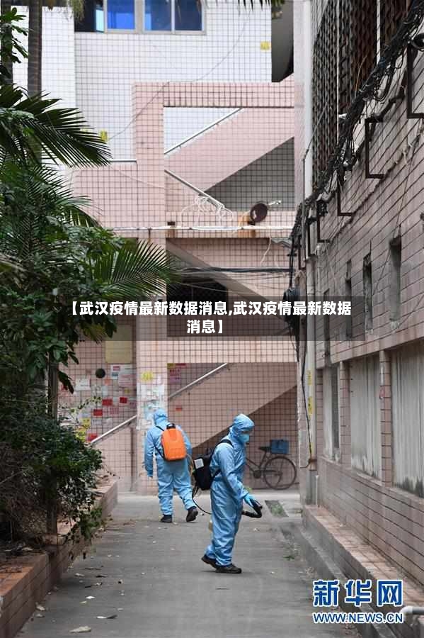 【武汉疫情最新数据消息,武汉疫情最新数据消息】-第2张图片